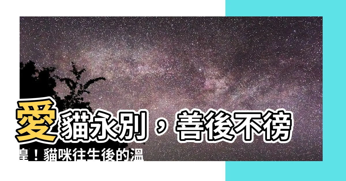 【貓死掉怎麼處理】愛貓永別，善後不徬徨！貓咪往生後的温馨處理指南