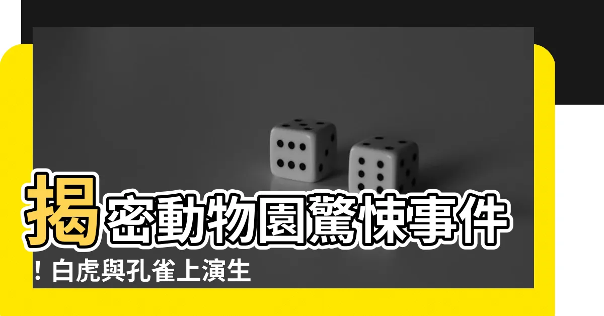 【白虎 孔雀】揭密動物園驚悚事件！白虎與孔雀上演生死鬥