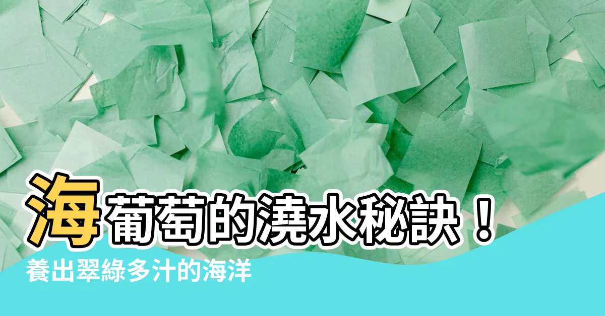 【海葡萄澆水】海葡萄的澆水秘訣！養出翠綠多汁的海洋果實