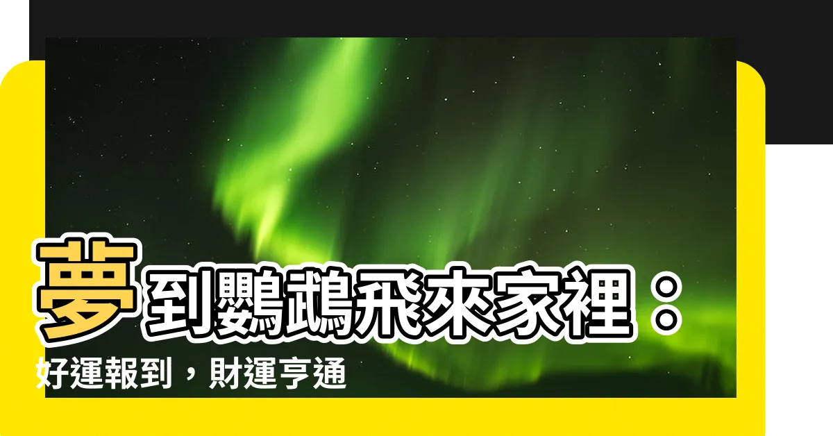 【夢到鸚鵡飛來家裡】夢到鸚鵡飛來家裡：好運報到，財運亨通！幸運接踵而至