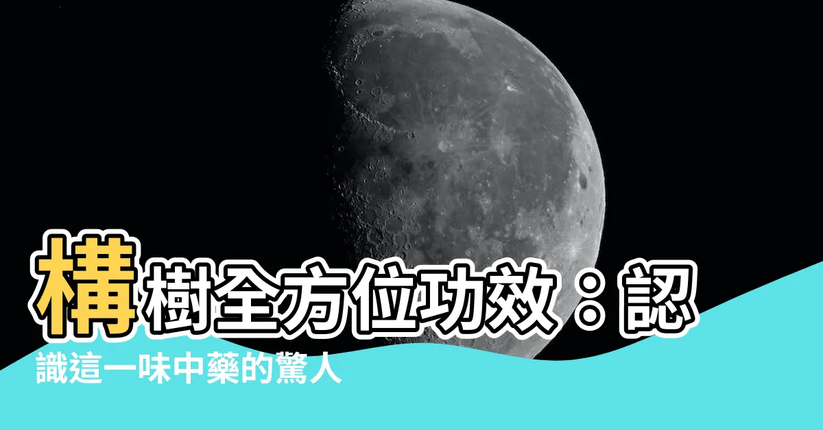 【構樹功效】構樹全方位功效：認識這一味中藥的驚人療效