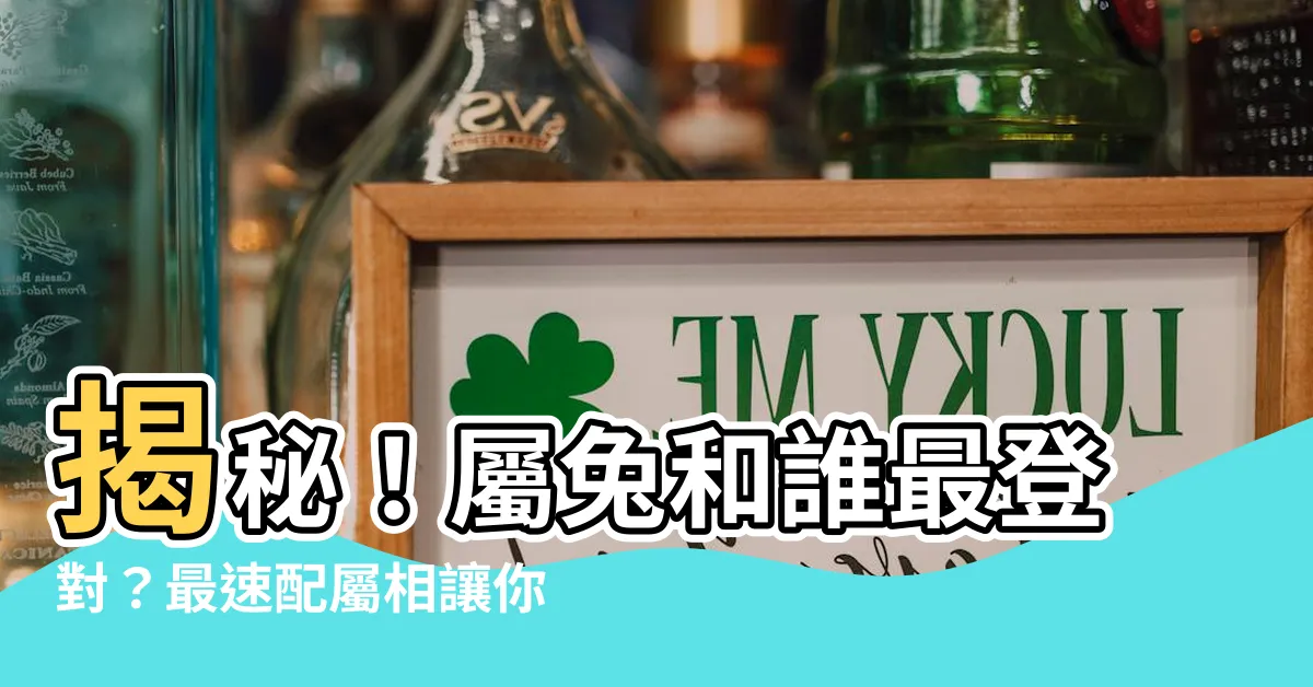 【屬兔的和什麼屬相最配】揭秘！屬兔和誰最登對？最速配屬相讓你愛到天長地久