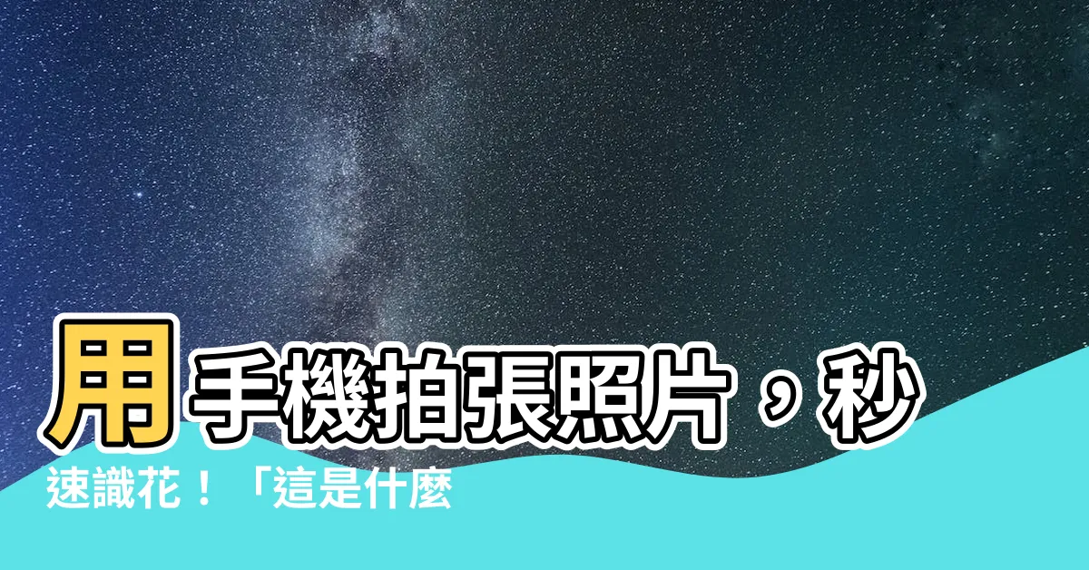 【這是什麼花app】用手機拍張照片，秒速識花！「這是什麼花」APP推薦