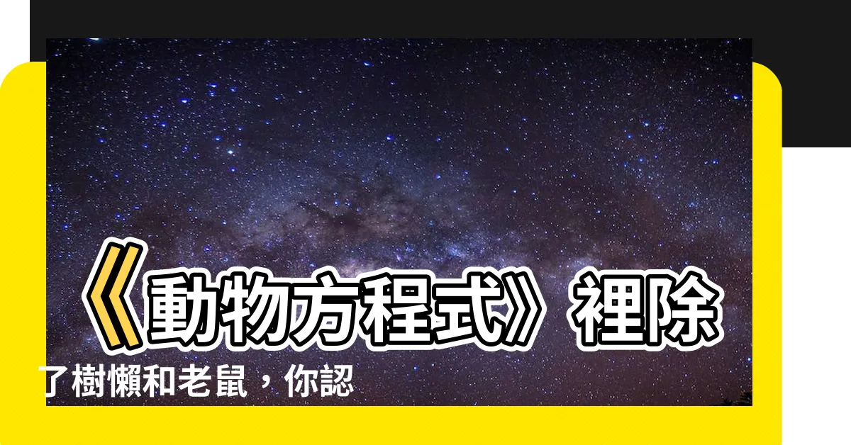 【動物方程式老鼠】《動物方程式》裡除了樹懶和老鼠，你認識這些動物嗎？