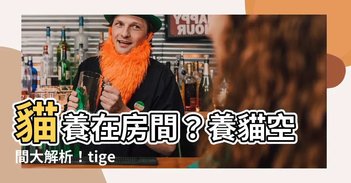 【貓養在房間】貓養在房間？養貓空間大解析！tige你的喵星人安隱生活！