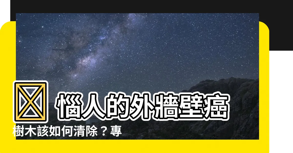 【外牆除樹】🏠 惱人的外牆壁癌樹木該如何清除？專家出招輕鬆解決！