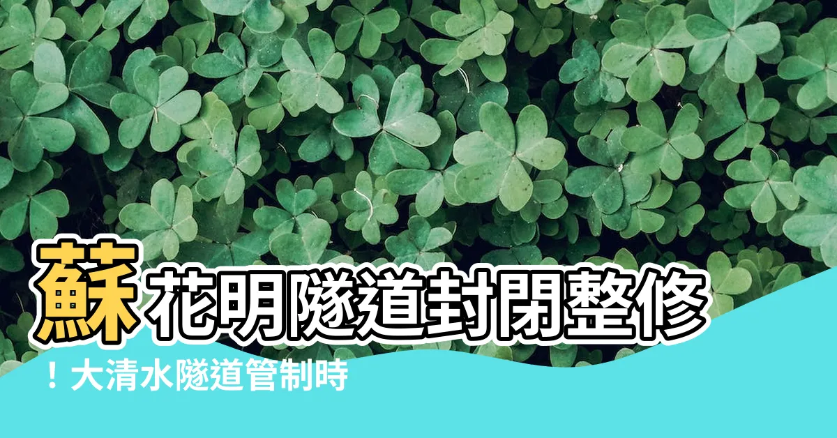 【大清水隧道管制時間】蘇花明隧道封閉整修！大清水隧道管制時間一次看