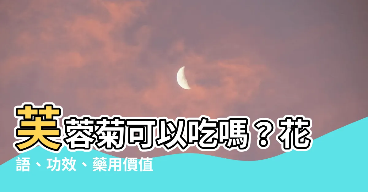 【芙蓉菊可以吃嗎】芙蓉菊可以吃嗎？花語、功效、藥用價值大解密！