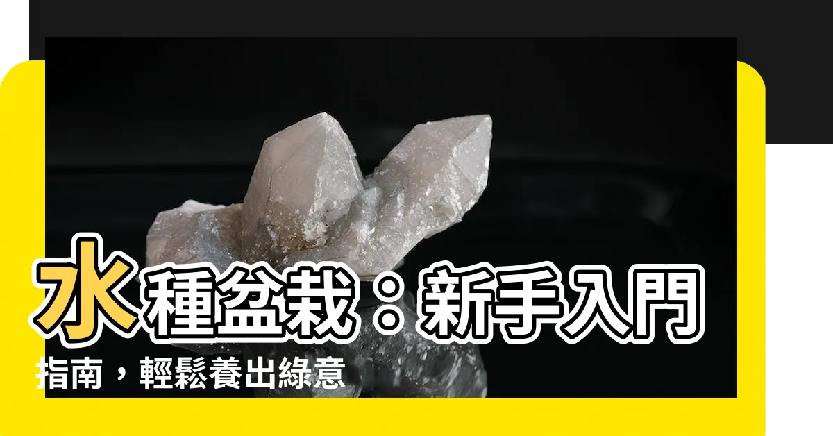 【水種盆栽】水種盆栽：新手入門指南，輕鬆養出綠意盎然的室內花園